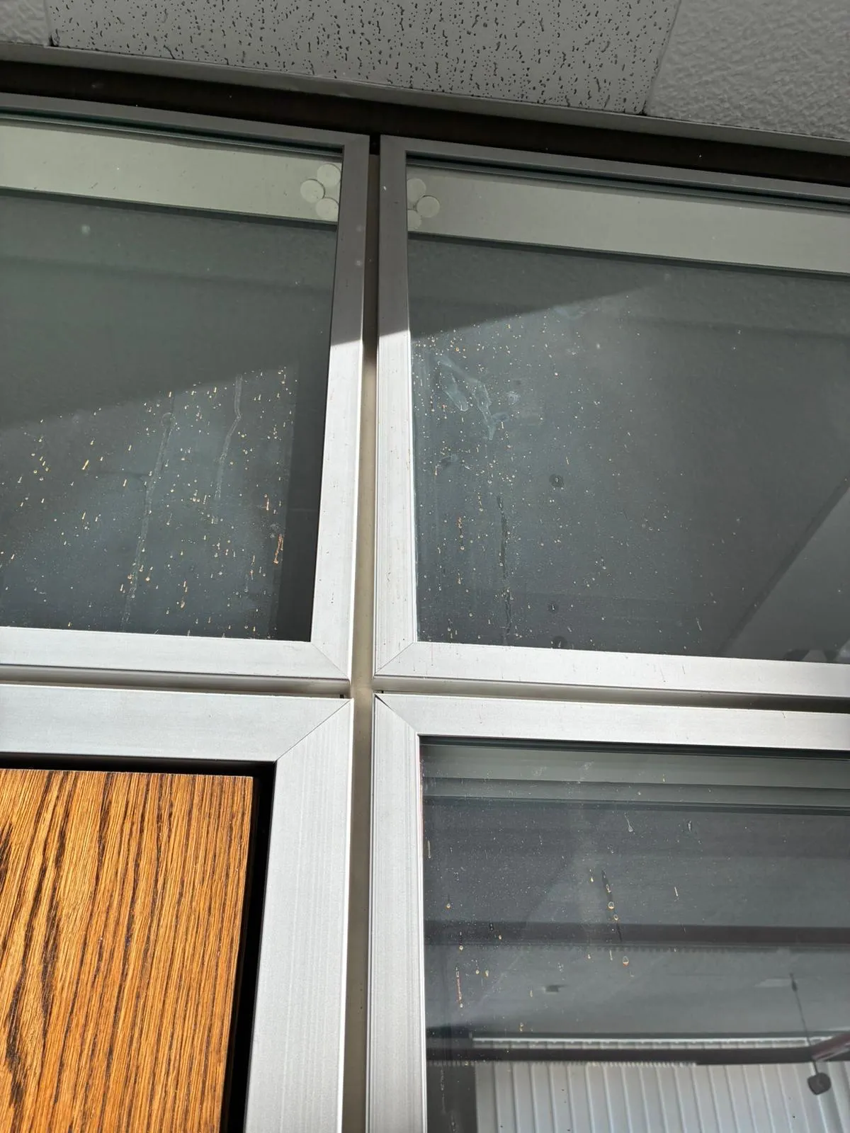Fensterreinigung im Detail